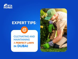 Cultivating and Maintaining a Perfect Lawn in Dubai: Expert Tips