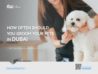 pet grooming services in dubai