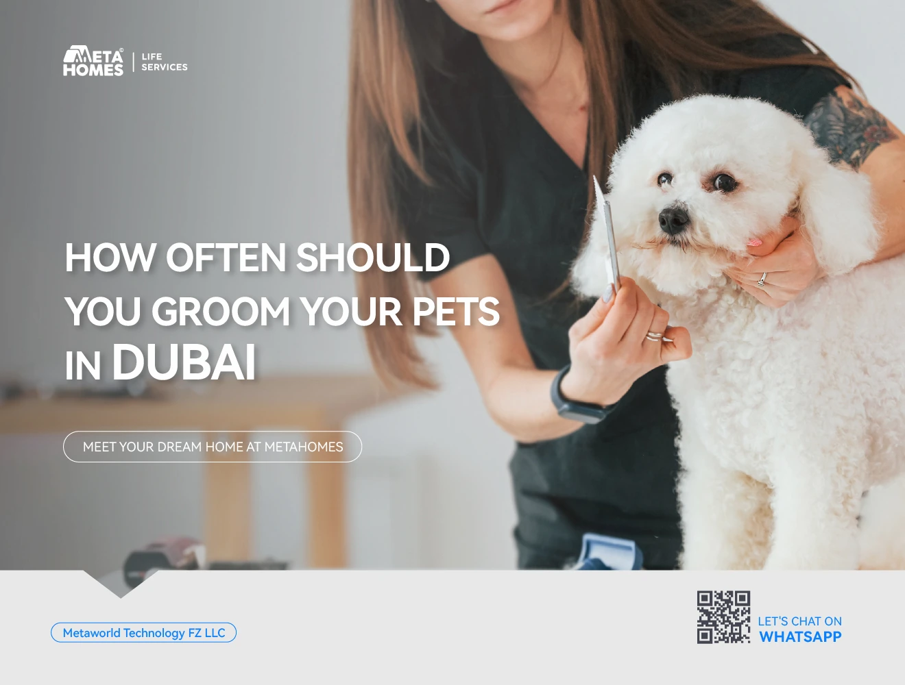 pet grooming services in dubai
