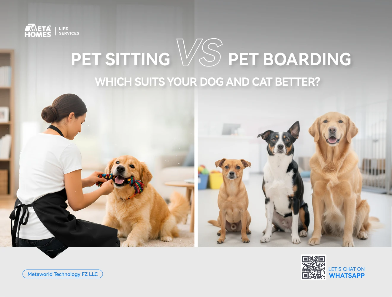 Pet Sitting Vs Pet Boarding - Which Is Better