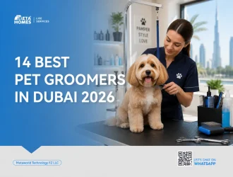 pet groomers in dubai